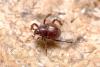 279553 – Photo : Alberto J. Narro Martin – Espagne